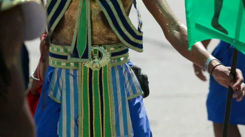   Caribbean Carnival  Video stock 792499