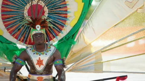Caribbean Carnival Stock Footage 792670