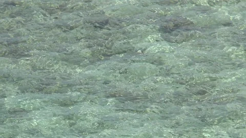 Caribbean Clear Sea Video stock 106992437