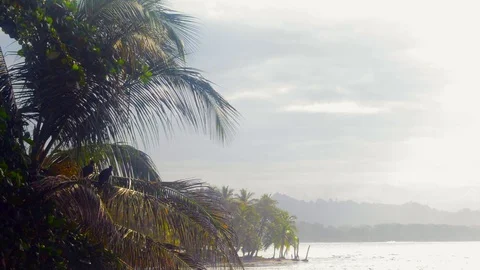 Caribbean Coast Stock Footage 93750635