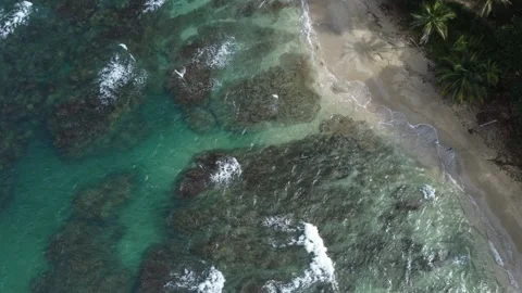 Caribbean coast overhead Stock Footage 165190921
