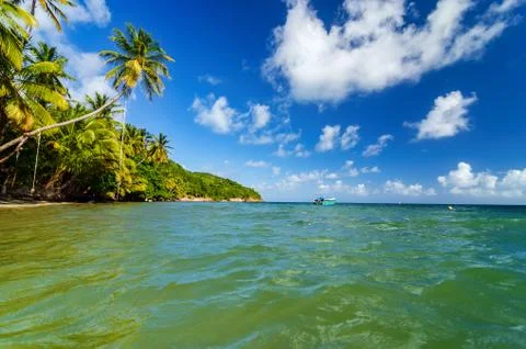 Caribbean Coast View Stock Photos