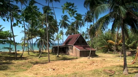 Caribbean cottage with palmtrees Stock Footage 106740