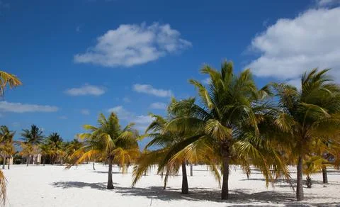 Caribbean. Cuba. Stock Photos