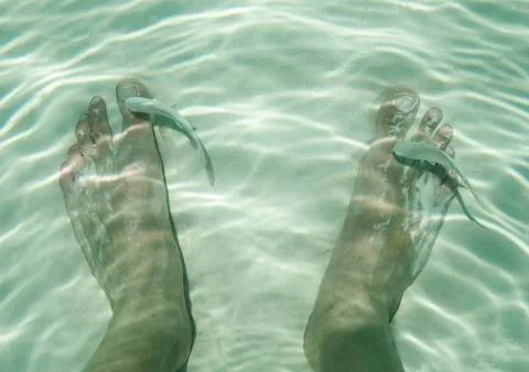 Caribbean fish Stock Photos