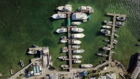 Caribbean Stock Footage 95256394