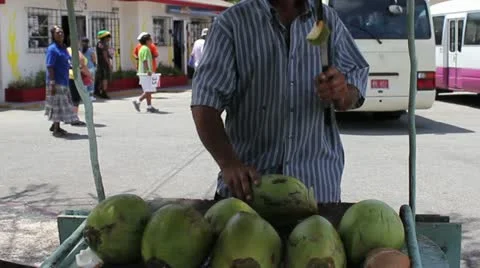 Caribbean Fruit Vender Stock Footage 21022277
