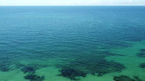 From Caribbean to the jungle Stock Footage 331662563