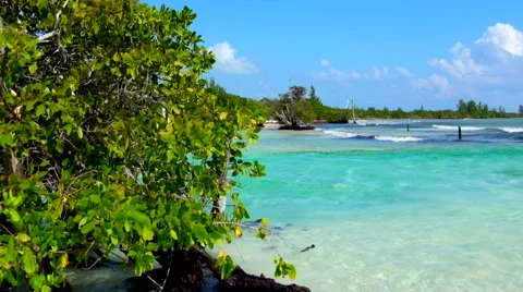 Caribbean lagoon Stock Footage 45878767