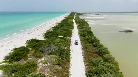 Caribbean long virgin unspoiled beach drone view Stock Footage 156886485