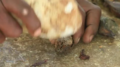 Caribbean nuts Stock-Footage 12170272