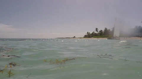 Caribbean Ocean Calm Blue Waves, Boat and Palm Trees in distance Stock Footage 185095089