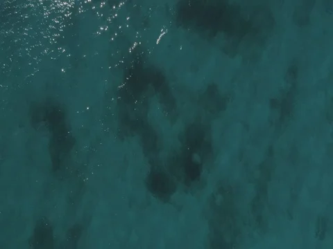 The Caribbean Ocean 스톡 동영상 76484755