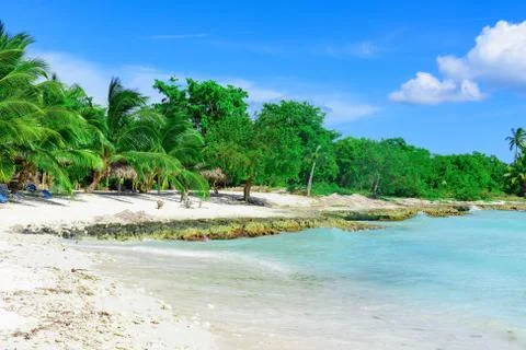 Caribbean palm beach Stock Photos