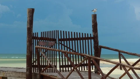 Caribbean pier Stock Footage 94705877