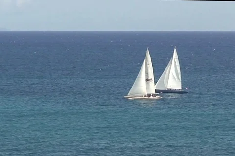 Caribbean Racing Sloops Stock-Footage 77827131