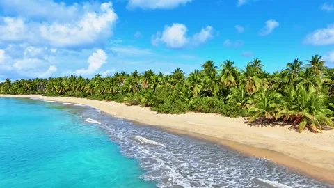 Caribbean sea beach background. Stock Footage 327631837
