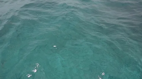 Caribbean Sea Stock Footage 128096362