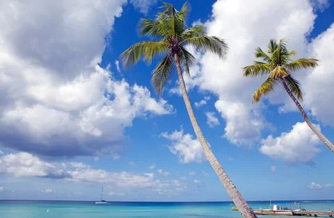 Caribbean sea Stock Photos