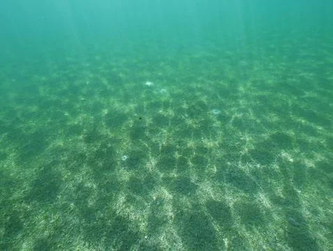 Caribbean sea split level ocean Foto stock
