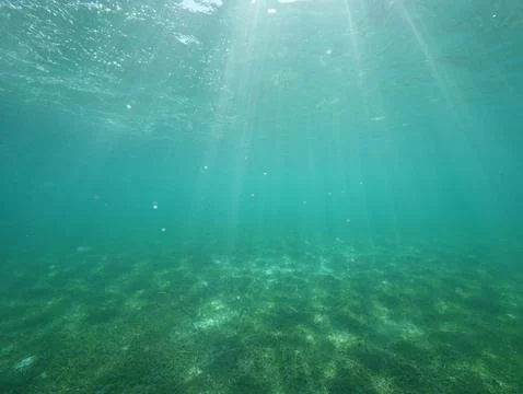 Caribbean sea split level ocean Stock Photos