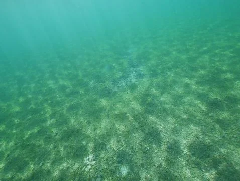 Caribbean sea split level ocean Stock Photos