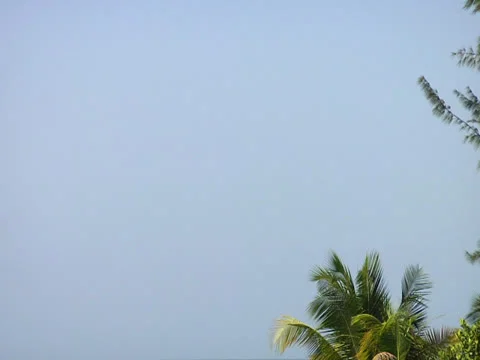 Caribbean sea tilt down Video stock 25946385
