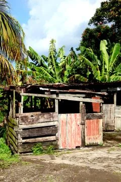 Caribbean shack. Stock Photos