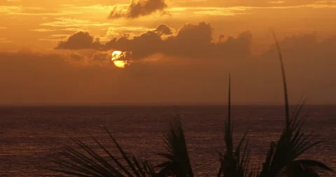 Caribbean Sunset Beyond Palm Trees Stock-Footage 166537558