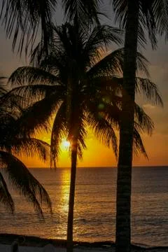 Caribbean sunset Foto stock