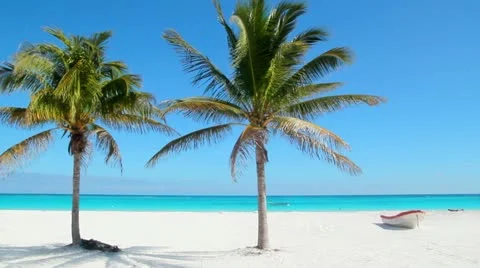 Caribbean Tulum white sand beach with two palm trees and boat Stock Footage