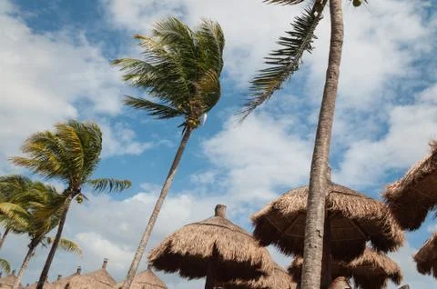 Caribbean vacation Stock Photos