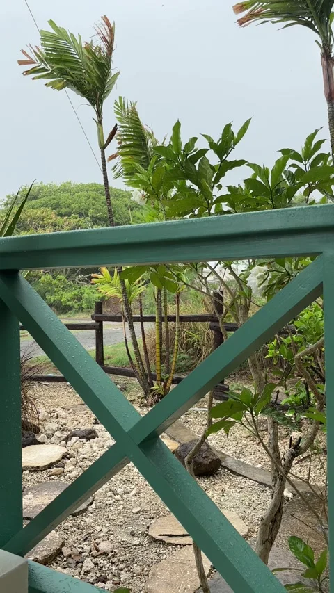 Caribbean veranda railing in tropical rainstorm with wind-bent palms, Barbados Stock Footage 340656551