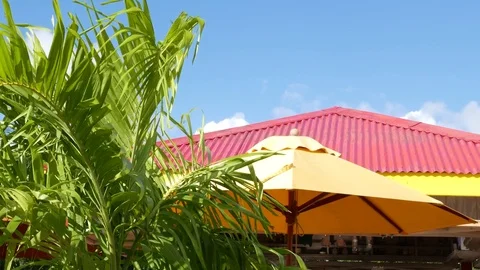 Caribbean visual concept 스톡 동영상 71793039