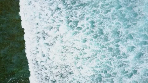 Caribbean Waves from Above | Breaking on Reef | Barbados | Drone Footage Stock Footage 303245378
