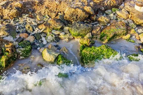Caribbean waves washing over algae covered rocks on Aruba shoreline. Stock Photos
