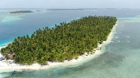 Caribbean white unspoiled sandy beach aerial drone view Stock Footage 103544637