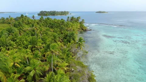 Caribbean white unspoiled sandy beach aerial drone view Stock Footage 103544891