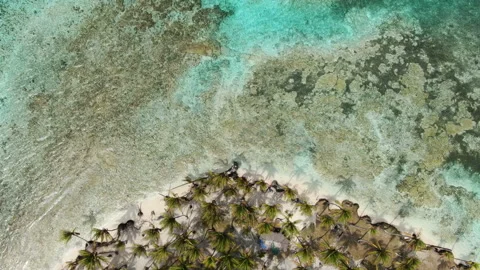 Caribbean white unspoiled sandy beach aerial drone view Stock Footage 103548196