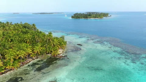 Caribbean white unspoiled sandy beach aerial drone view Stock Footage 103549825