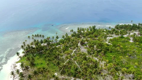 Caribbean white unspoiled sandy beach aerial drone view Stock Footage 104039091