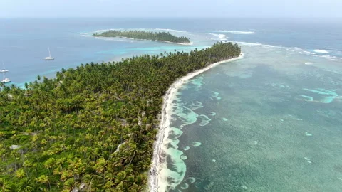 Caribbean white unspoiled sandy beach aerial drone view Stock Footage 104040109