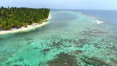 Caribbean white unspoiled sandy beach aerial drone view Stock Footage 104040267