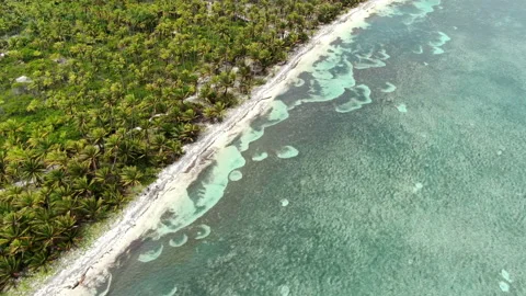 Caribbean white unspoiled sandy beach aerial drone view Stock Footage 104041064