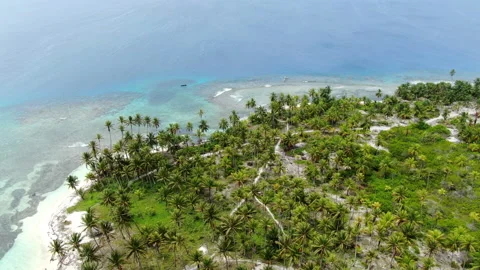 Caribbean white unspoiled sandy beach aerial drone view Stock Footage 104041750