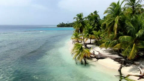 Caribbean white unspoiled sandy beach aerial drone view Stock Footage 104042947