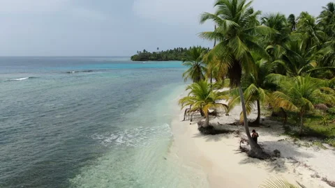 Caribbean white unspoiled sandy beach aerial drone view Stock Footage 104043044