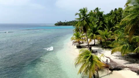 Caribbean white unspoiled sandy beach aerial drone view Stock Footage 104043071