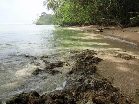 Caribbean wild beach Stock Photos