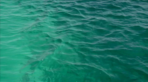 Caribian water background Stock Footage 144446